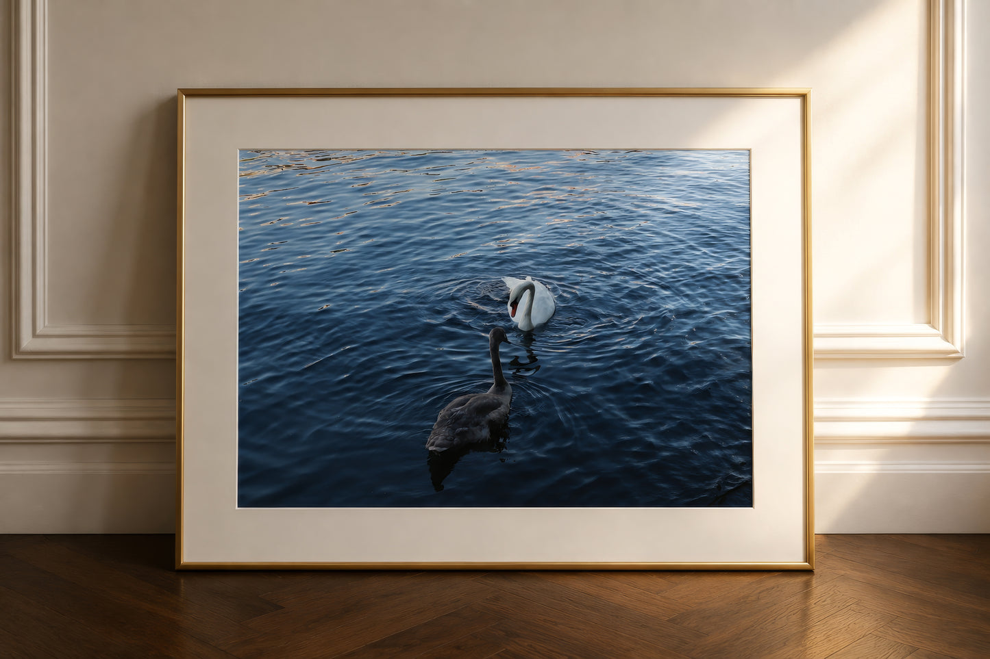 The Swans